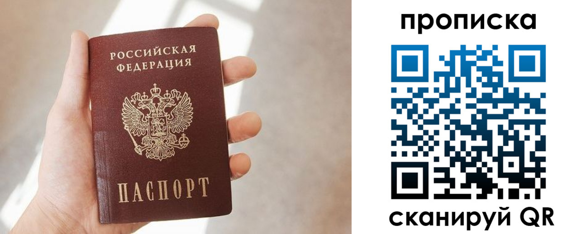 где прописаться в Кандалакше